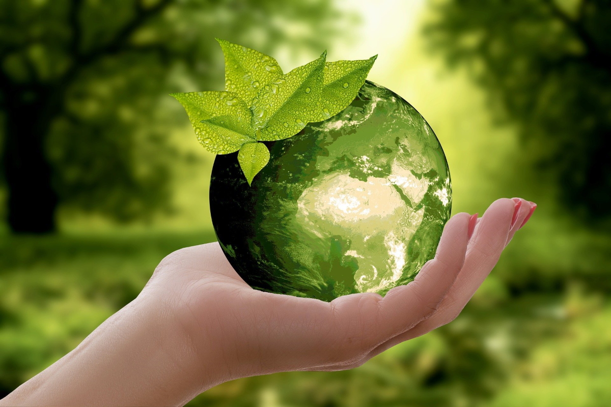 4 Ways Businesses Can Reduce Overheads To Be More Sustainable